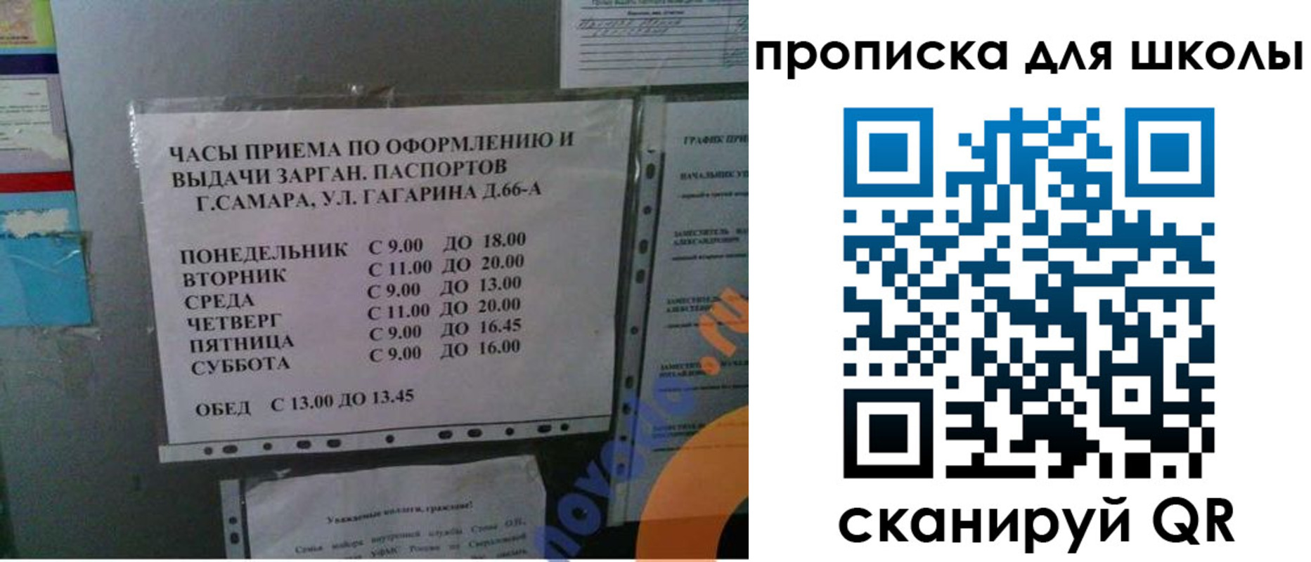 где прописаться в Камешково