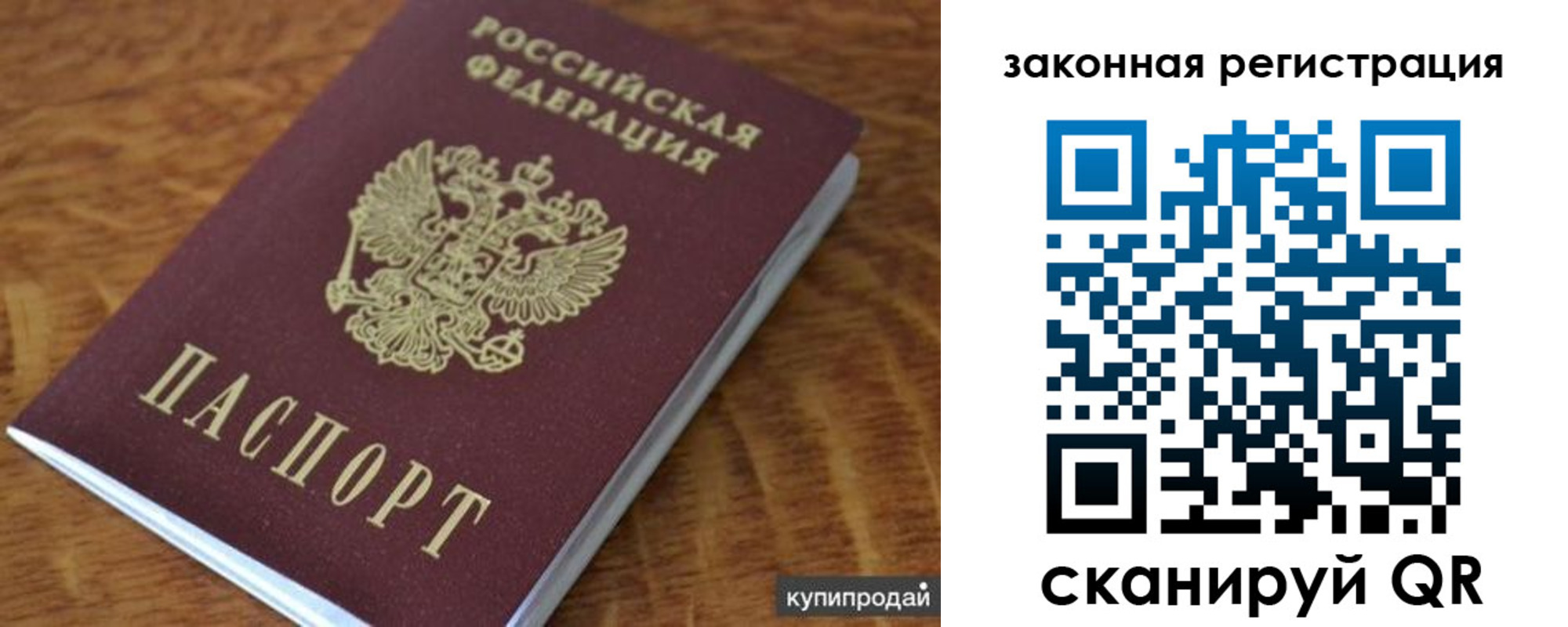 прописка гарантия в Камешково